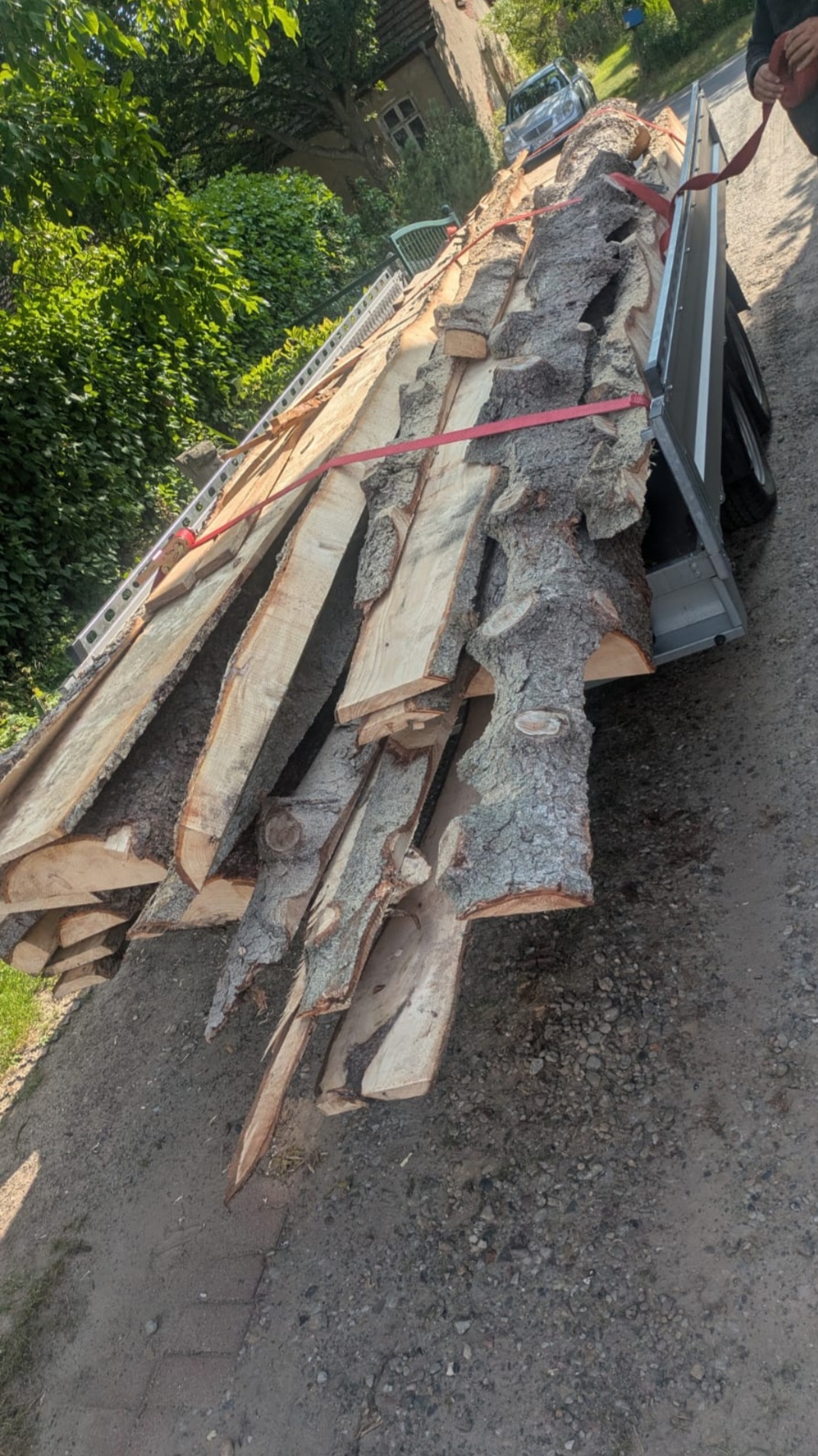 Lieferung von Holz und Bauholz